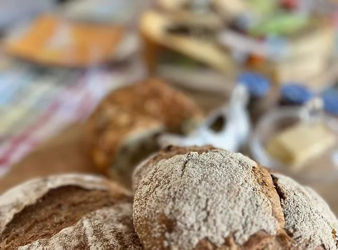 فندق مبيت وإفطار La Dominotte 4*